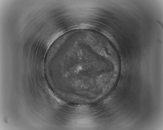 X0000103160850200809121836