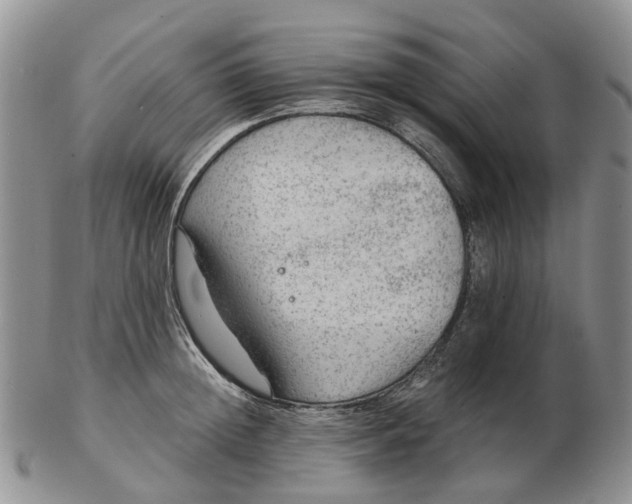 X0000103160852200809121836