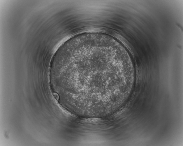 X0000103160853200809121836