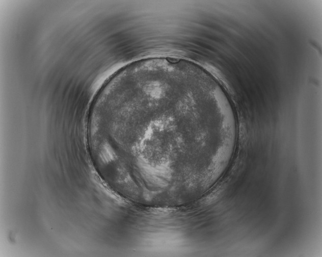 X0000103160854200809121836