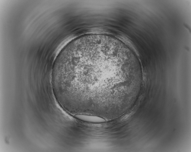 X0000103160855200809121836