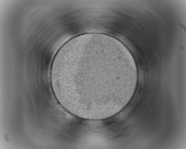 X0000103160856200809121836