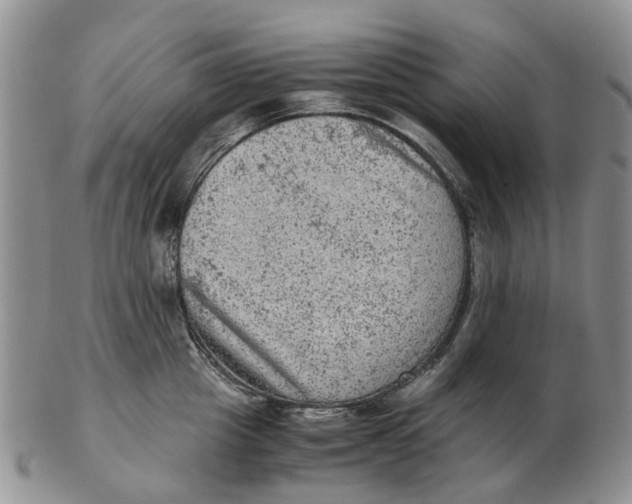 X0000103160857200809121836