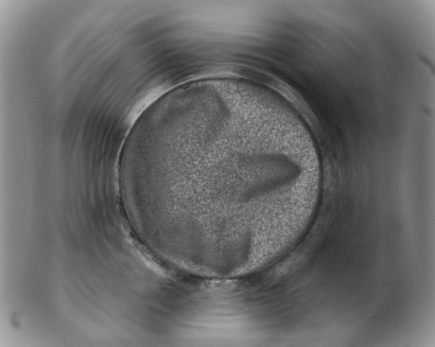 X0000103160858200809121836