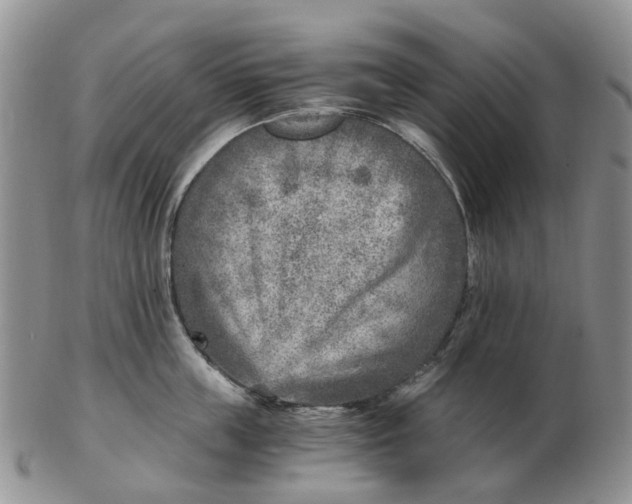 X0000103160859200809121836