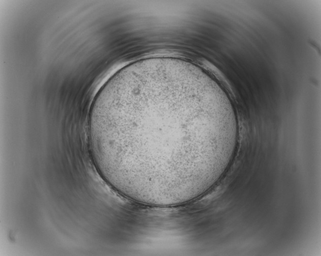 X0000103160860200809121836