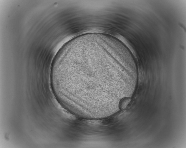 X0000103160861200809121836