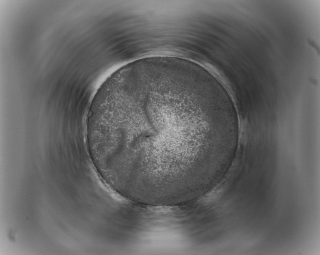 X0000103160862200809121836