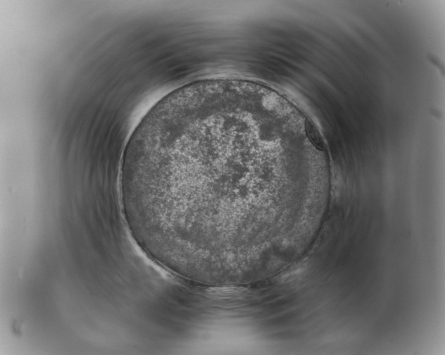 X0000103160863200809121836