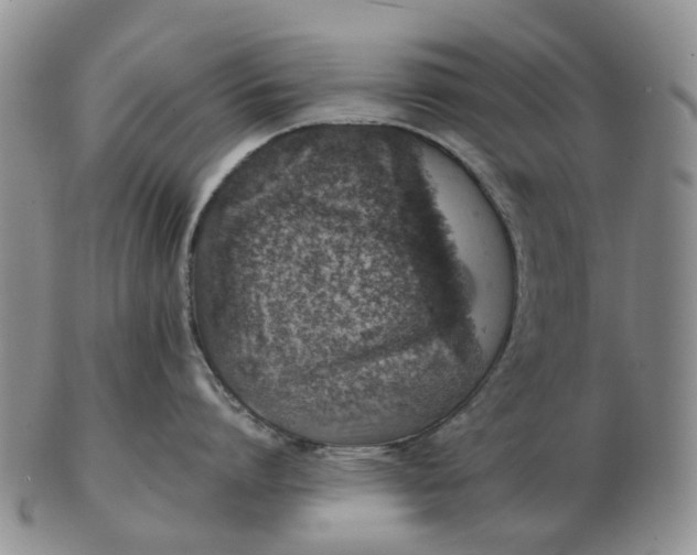 X0000103160864200809121836