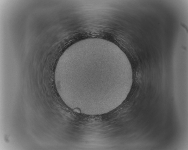 X0000103160865200809121836