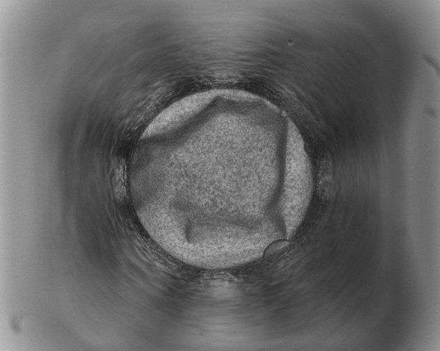 X0000103160866200809121836