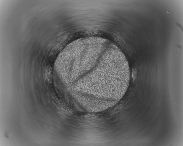 X0000103160867200809121836