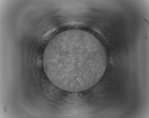 X0000103160869200809121836