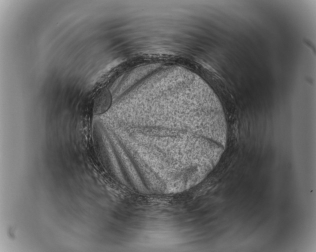 X0000103160870200809121836