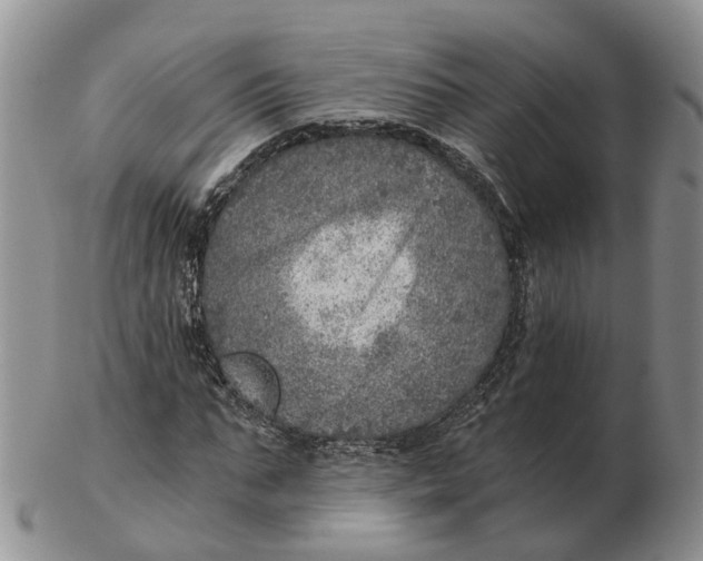 X0000103160871200809121836