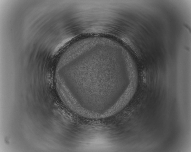 X0000103160872200809121836