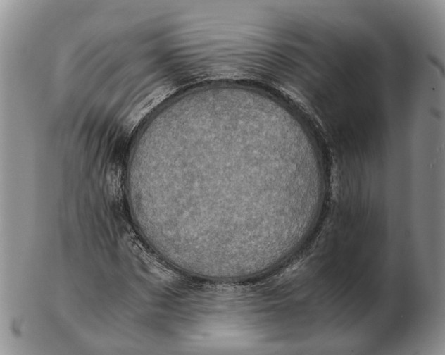 X0000103160873200809121836