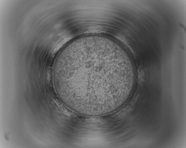 X0000103160874200809121836