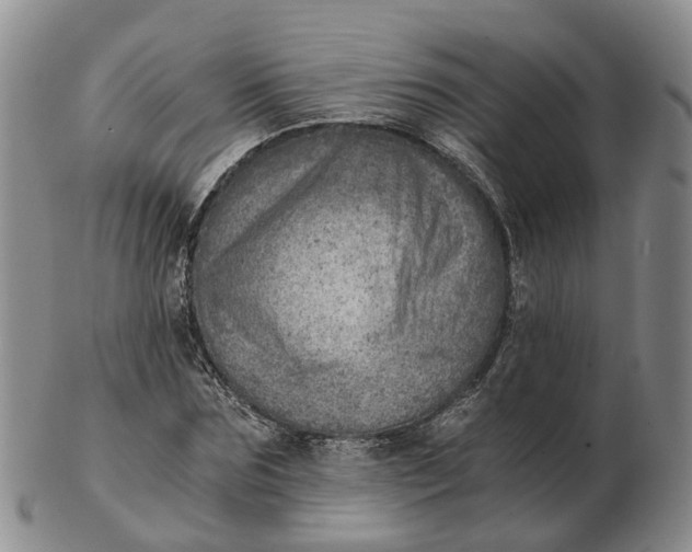 X0000103160875200809121836