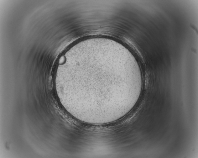 X0000103160876200809121836