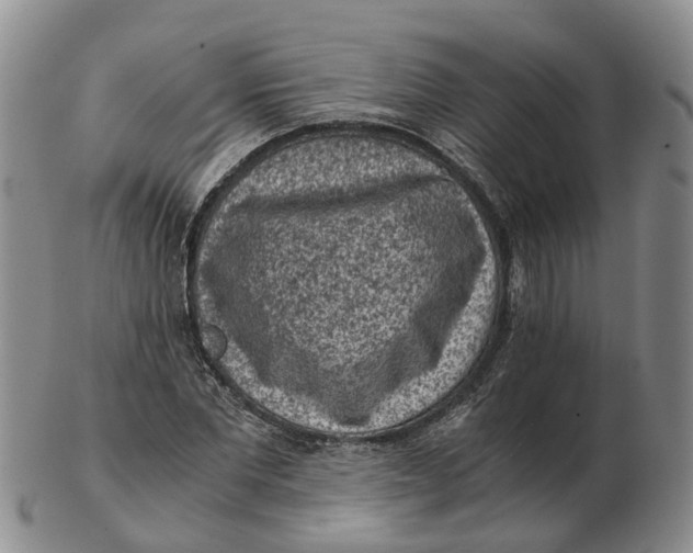 X0000103160877200809121836