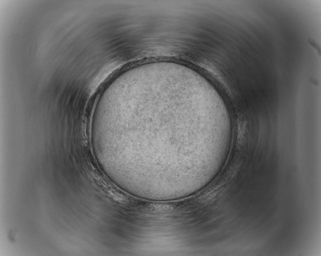 X0000103160878200809121836