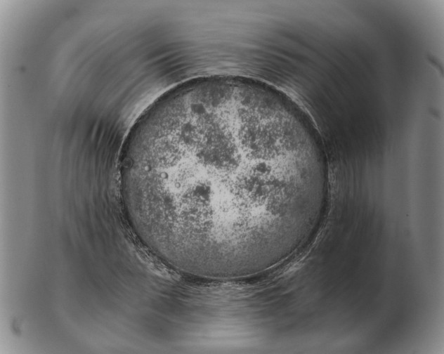 X0000103160879200809121836