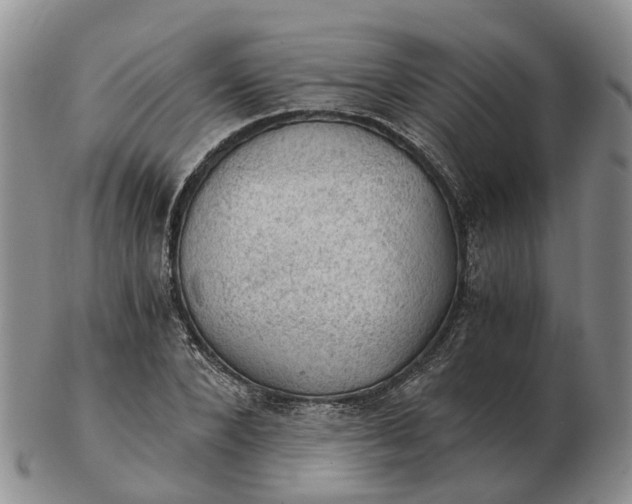 X0000103160880200809121836