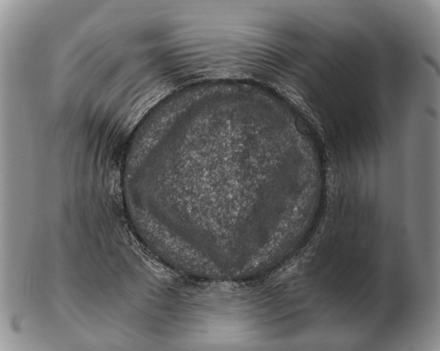 X0000103160881200809121836