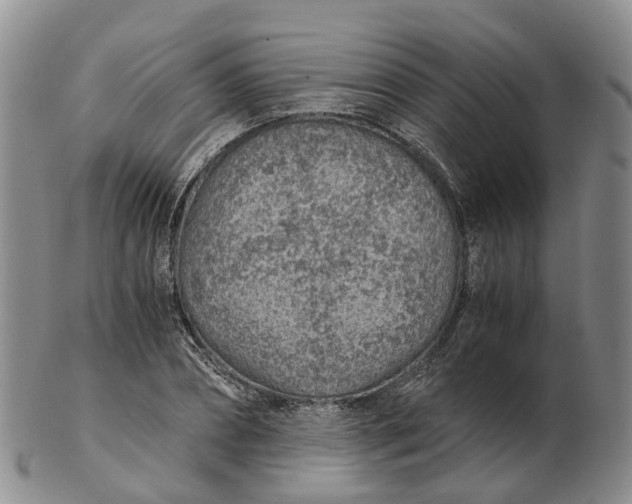 X0000103160882200809121836