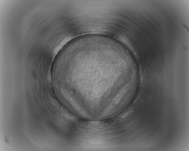 X0000103160883200809121836