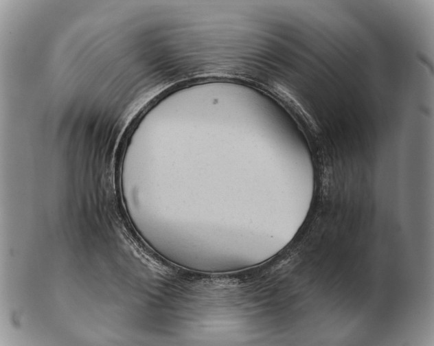 X0000103160884200809121836