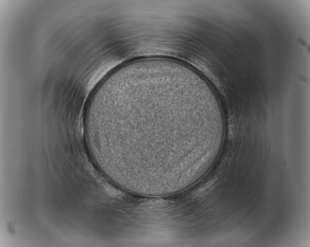 X0000103160885200809121836