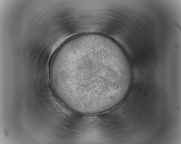 X0000103160886200809121836