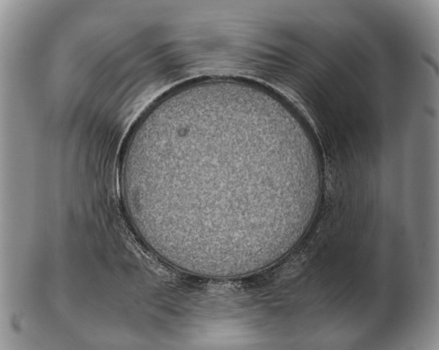 X0000103160887200809121835