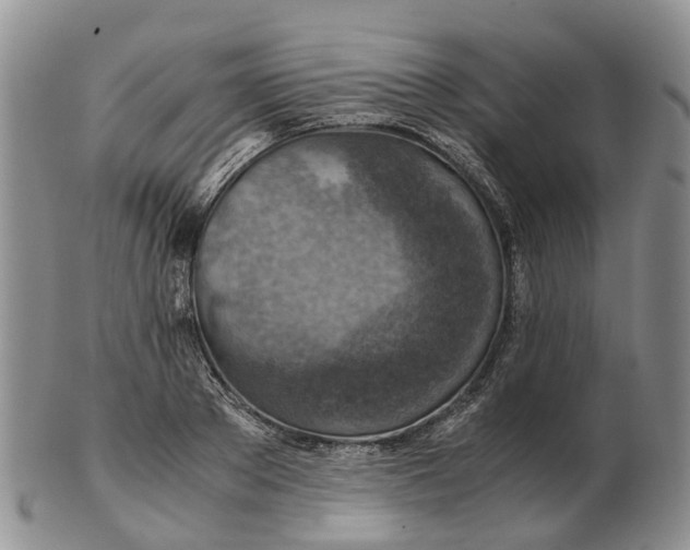 X0000103160889200809121835