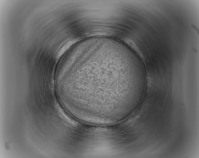 X0000103160890200809121835