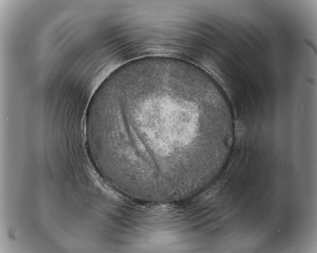 X0000103160891200809121835