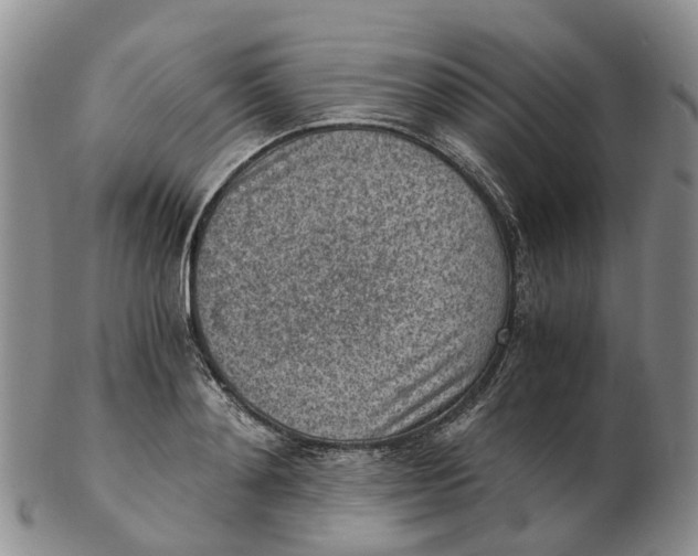 X0000103160892200809121835