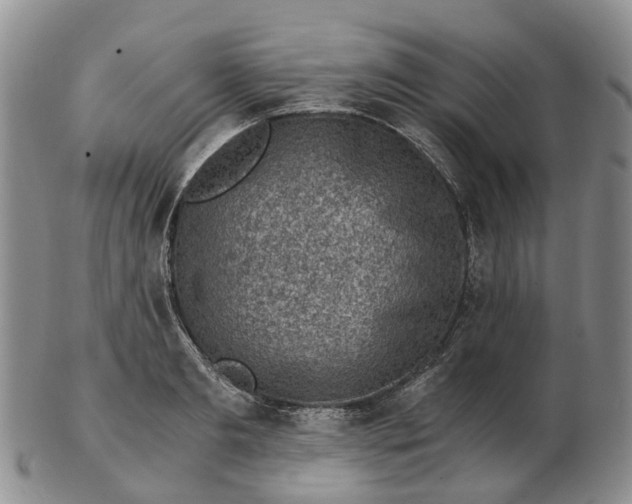 X0000103160893200809121835