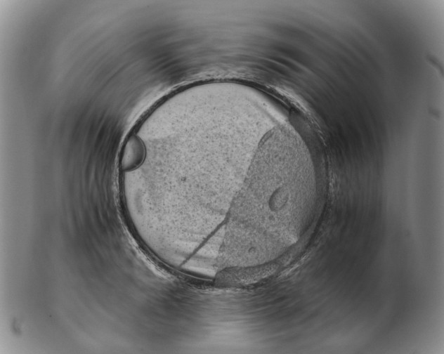 X0000103160894200809121835