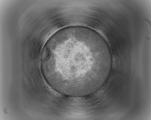 X0000103160895200809121835