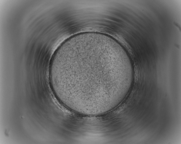 X0000103160896200809121835