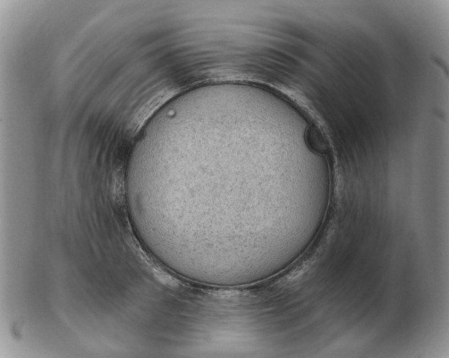 X0000103160897200809121835