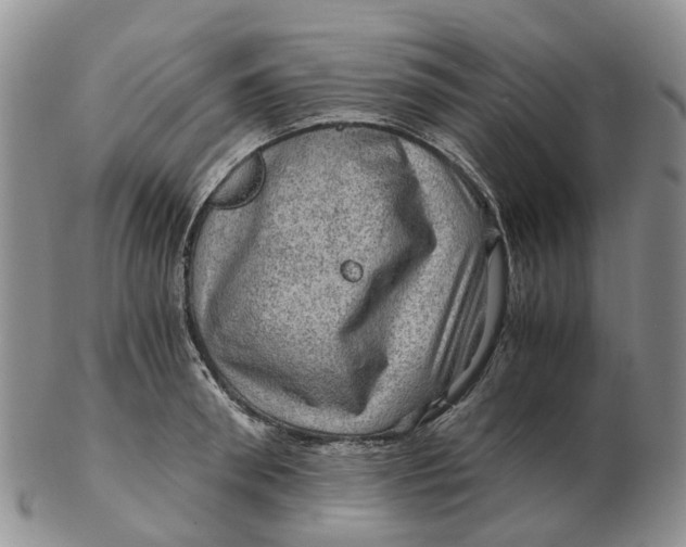 X0000103160898200809121835