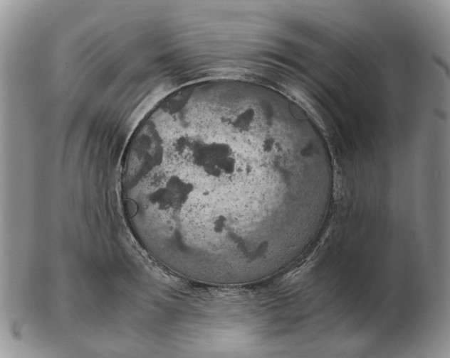 X0000103160899200809121835