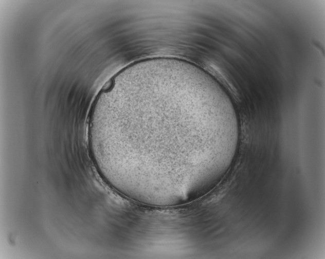 X0000103160900200809121835