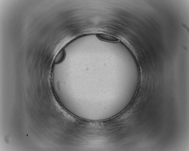 X0000103160901200809121835