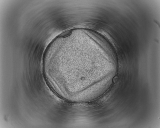 X0000103160902200809121835